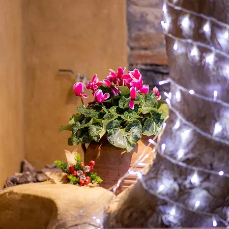 Apartamento Luxury - Le Petit Bati *