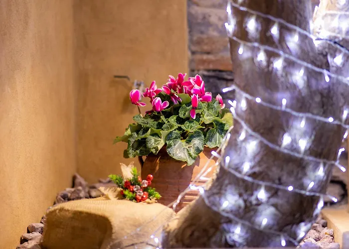 Διαμέρισμα Luxury - Le Petit Bati *