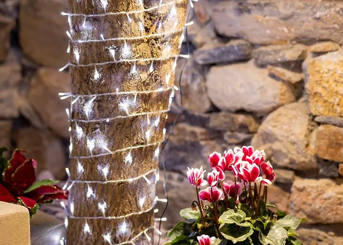 Διαμέρισμα Luxury - Le Petit Bati