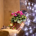 Apartament Luxury - Le Petit Bati *